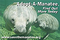 Adopt-A-Manatee