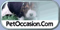 PetOccasion.Com